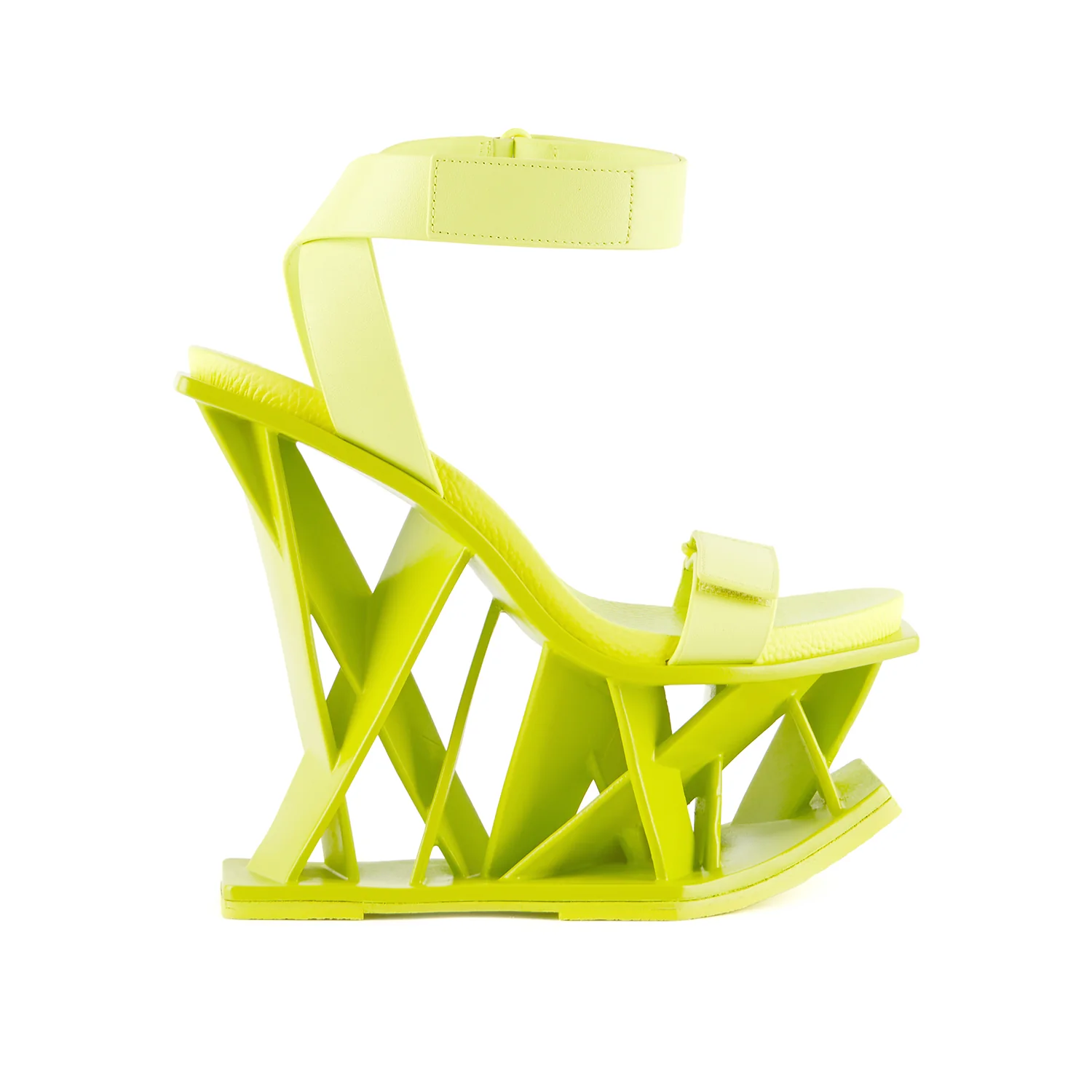Vector - Image 19
