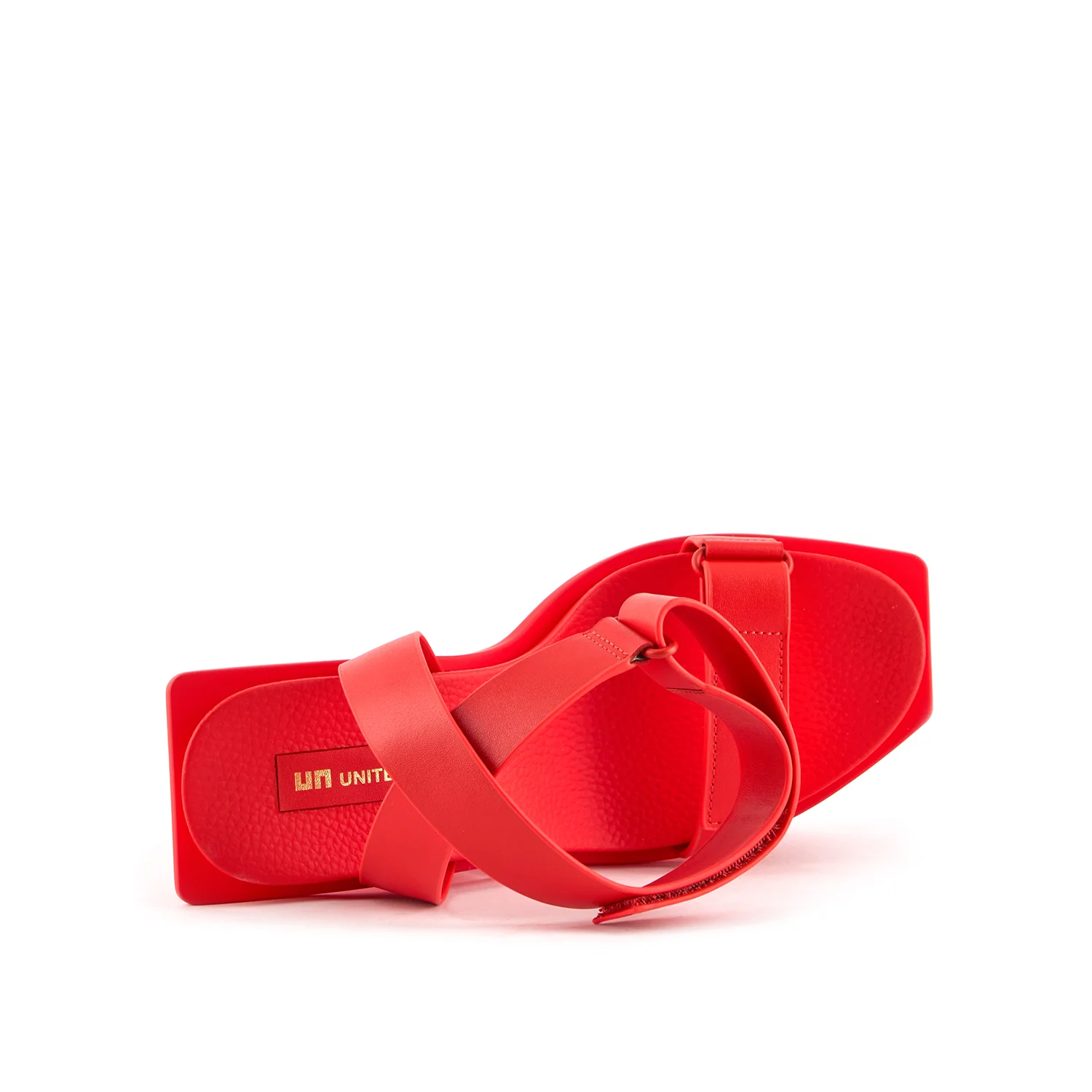 Vector - Image 5